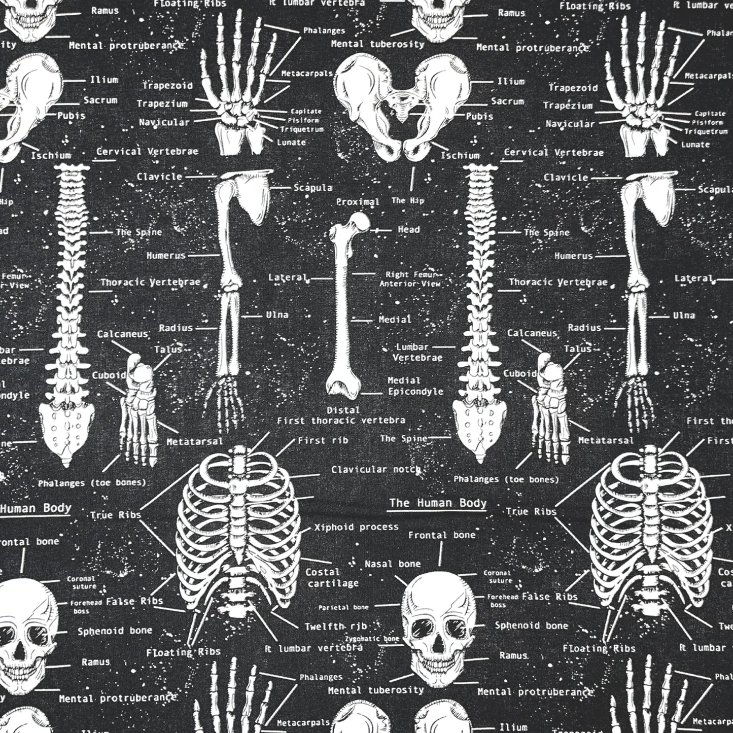 GLOW IN THE DARK ANATOMY kirurgiline müts